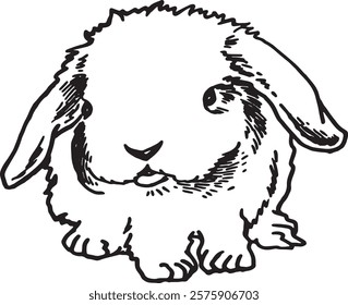 Graphical bunny sitting on white background, vector illustration