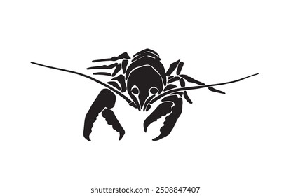 Graphical cancer isolated on white background, seafood element. Vector illustration