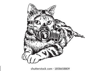 Graphical cat in mask isolated on white background, vector illustration, virus protection