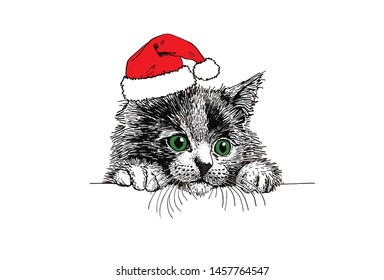 Graphical cat in Santa Claus hat isolated on white background,vector new year illustration	
