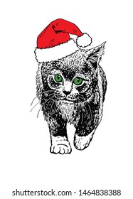 Graphical cat in Santa Claus hat isolated on white background,vector new year illustration