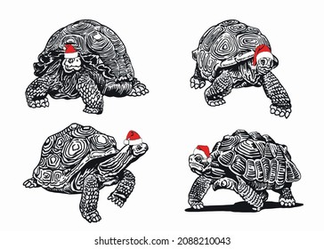 Graphical christmas elements , turtles in red Santa Claus hat isolated on white 
