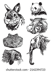 Graphical collection of African animals isolated on white background,vector zoo animals