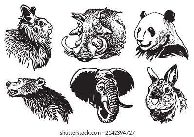 Graphical collection of African animals isolated on white background,vector zoo animals