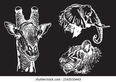 Graphical collection of African animals isolated on black background,vector zoo animals