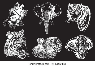 Graphical collection of African animals isolated on black background,vector zoo animals