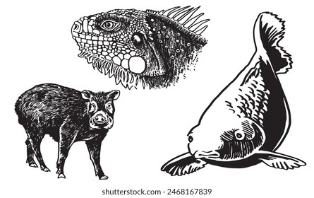 Colección gráfica de animales sobre fondo blanco, Ilustración vectorial
