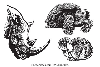 Graphical collection of animals on white background,vector illustration