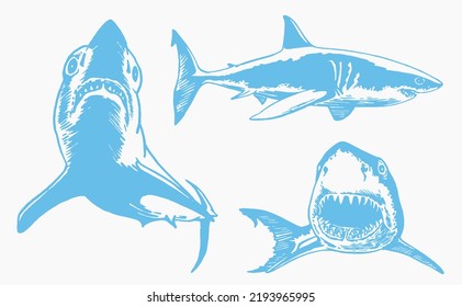 Graphical collection of blue sharks isolated on white, marine life elements.Vector color illustration. Seafood