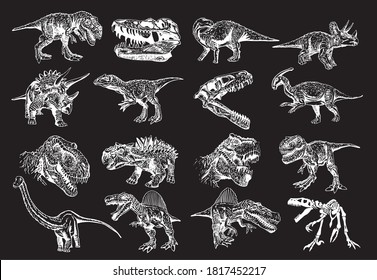 Graphical collection of dinosaurs isolated on black background, vector ilustration