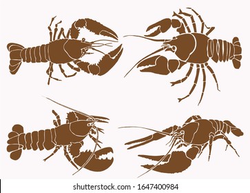 Graphical collection of lobsters , sepia background, vector vintage illustration