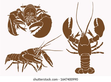 Graphical collection of lobsters , sepia background, vector vintage illustration