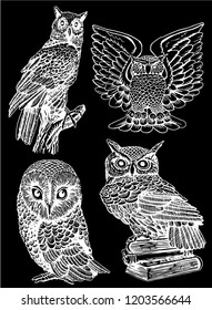 Graphical collection of owls isolated on black background,vector sketchy illustration,night bird sign of wise