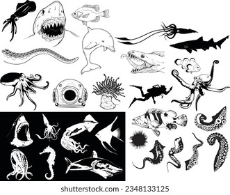 Graphical collection of sea food isolated on white background,vector