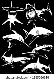 Graphical collection of sharks isolated on black background,vector , sketch of megalodon 
