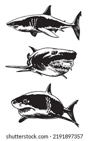 Graphical collection of sharks isolated on white, marine life elements.Vector illustration. Seafood