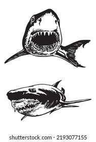 Graphical collection of sharks isolated on white, marine life elements.Vector illustration. Seafood
