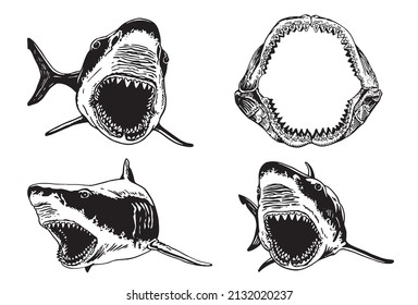 Graphical collection of sharks and megalodon jaw on white background isolated,vector elements