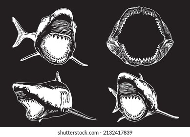Graphical collection of sharks and megalodon jaw on black background isolated,vector elements