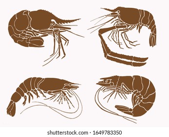 Graphical collection of shrimps , sepia background, vector vintage illustration