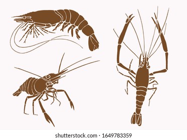 Graphical collection of shrimps , sepia background, vector vintage illustration