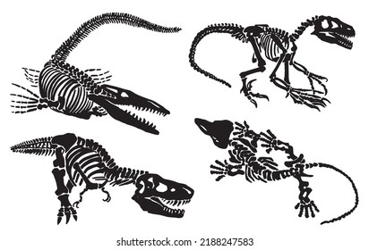 Graphical collection of skeletons of tyrannosaurus and crocodile isolated on white, paleontology