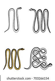 Graphical collection of snakes isolated on white background,vector