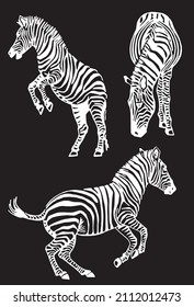 Graphical collection of zebras, black background, vector tattoo illustration,eps10