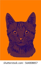 Graphical color cat isolated on orange background. Pop art 
