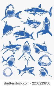 Graphical color collection of blue sharks isolated on white, marine life elements.Vector illustration. Seafood