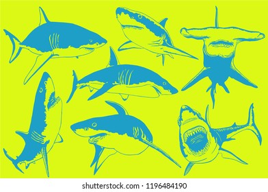 Graphical color collection of sharks , colorfull illustration