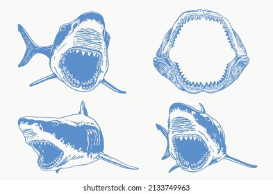 Graphical color collection of sharks and megalodon jaw on white background isolated,vector elements