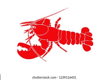 Graphical color crab isolated on white background,vector illustration, red lobster