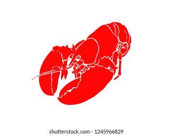 Graphical color crab isolated on white background,vector illustration, red lobster