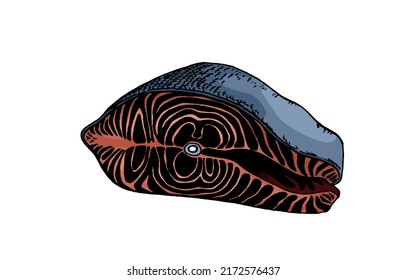 Graphical color fish slice isolated on white, graphical illustration , color element for fishmongers