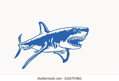 Graphical color  illustration of great white shark ,angry look. Aquatic hunter, killer. Vector illustration .Blue shark