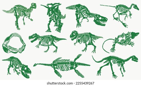 Graphical color illustration, set of green dinosaur skeletons isolated on white background,vector illustration
