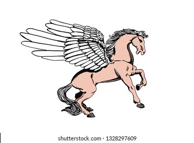 Graphical color Pegasus isolated on white background, vector horse with wings