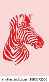 Graphical color portrait of  zebra  isolated on pink background,vector illustration