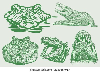 Graphical color set of crocodiles, green heads of crocodile vector illustration
