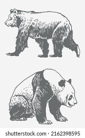 Conjunto de colores gráficos de osos adorables ahogados a mano, oso pardo y elementos vectores panda.Ositos grises para impresión, tipografía, diseño, tatuaje y logotipo