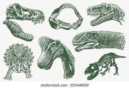 Graphical color set of dinosaurs isolated on white background, vector illustration.