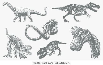 Graphical color set of dinosaurs isolated on white background,vector illustration,tattoo  designs. Grey elements