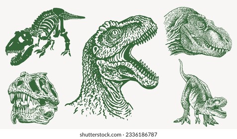 Conjunto de colores gráficos de dinosaurios,tiranosaurio vectorial para diseño, cubiertas,fondo