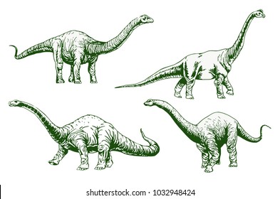 Graphical color set of diplodocus isolated on white background,vector illustration for tattoo and printing