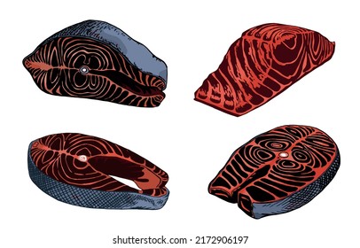 Graphical color set of fish slices isolated on white, graphical illustration , color elements for fishmongers