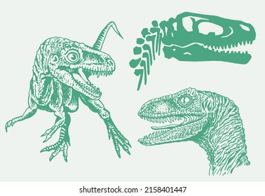 Graphical color set of green dinosaurs and skulls isolated on white background,vector illustration, museum elements for design,posters and covers.Paleontology,lizard