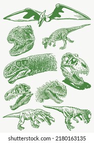 Graphical color  set of green dinosaurs isolated on white ,vector elements,jurrasic perioud 