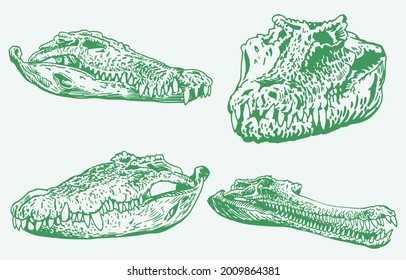 Graphical color set of green skulls of crocodile, vector color elements