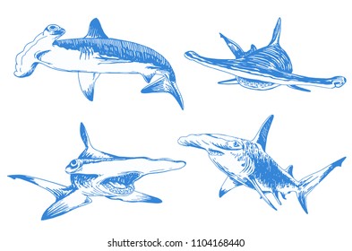 Graphical color set of hammerhead sharks isolated on white background,vector tattoo illustration